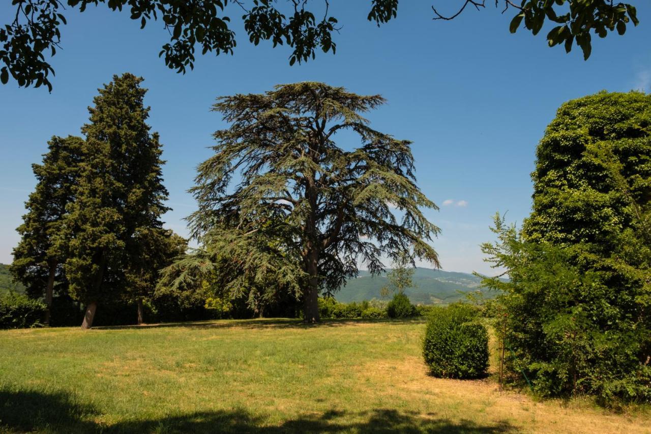 Fattoria Lavacchio * Pontassieve