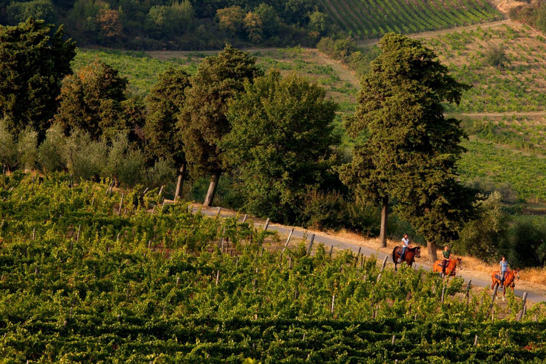 Fattoria Lavacchio *