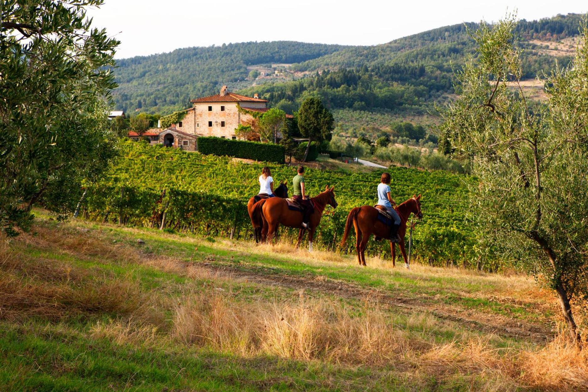 Fattoria Lavacchio Alojamento de Turismo Rural Pontassieve