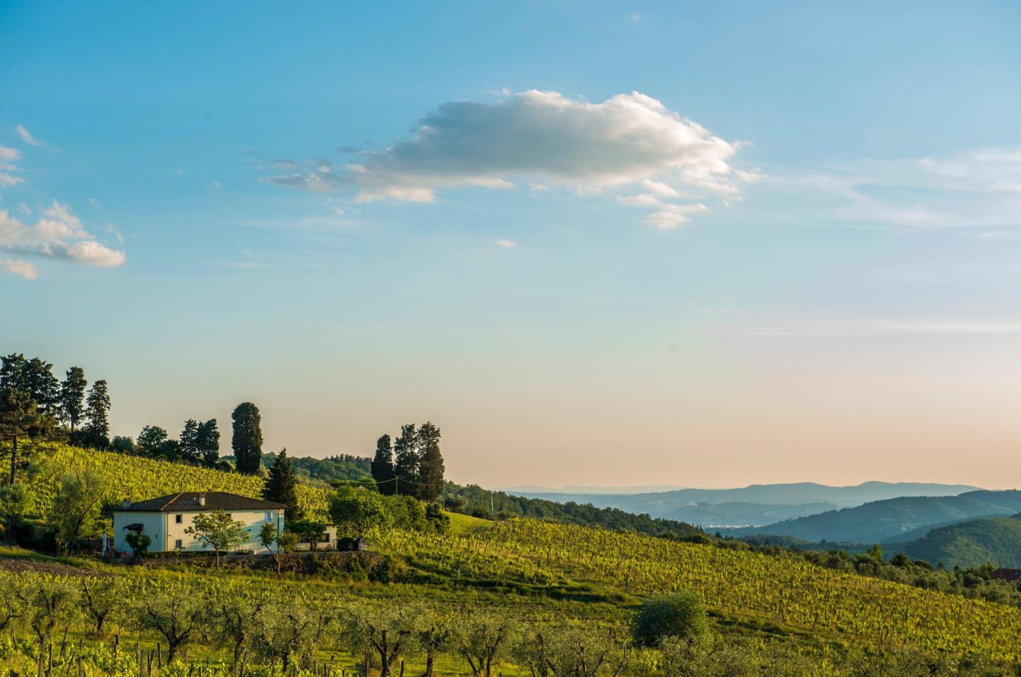 Fattoria Lavacchio Alloggio per agriturismo *